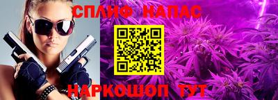 гидра Новодвинск