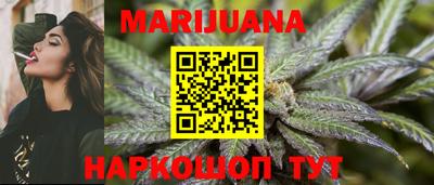 гидра Новодвинск