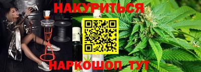 гидра Новодвинск