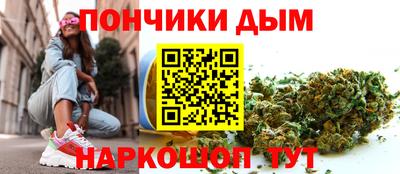 гидра Новодвинск