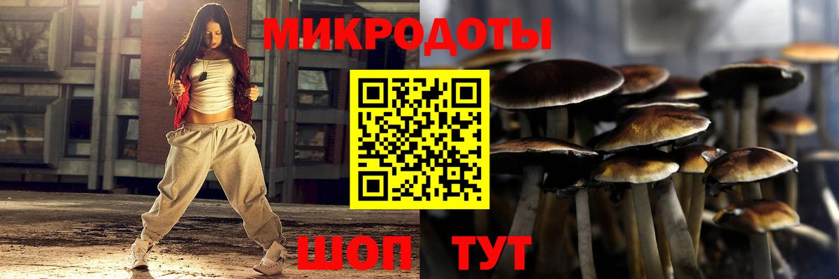 Псилоцибиновые грибы Psilocybe  закладка  Реж  Вход с VPN 