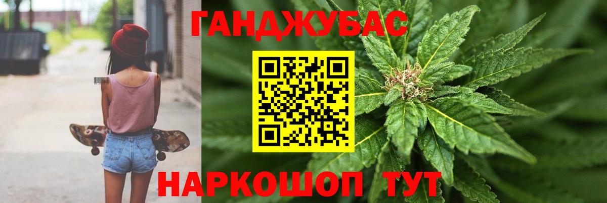 Каннабис сатива  Каннабис OG Kush  Бошки Шишки планчик  Реж  Вход с VPN 